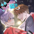 今天也要努力当只猫 今天也要努力当只猫